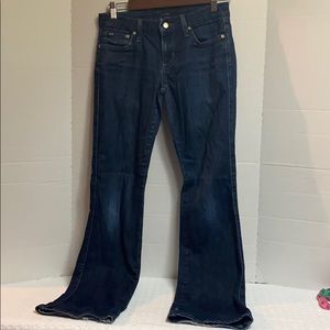 Joe's Arpy Perry Jeans Size27